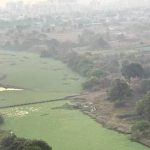 हिंजवडीवासीयांचा क्राउडफंडचा प्रयत्न मुळा नदीत गुदमरणारे तण साफ करण्यासाठी