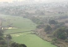 हिंजवडीवासीयांचा क्राउडफंडचा प्रयत्न मुळा नदीत गुदमरणारे तण साफ करण्यासाठी