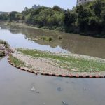 मुळा येथे महापालिकेच्या जलकुंभ सापळ्यांमुळे आमच्या पिण्याच्या पाण्याची नासाडी होत आहे, ग्रामपंचायतीचे म्हणणे