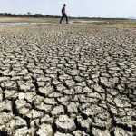 लातूरच्या शेतकऱ्याचा कोसळून मृत्यू, या उन्हाळ्यात राज्यातील आतापर्यंतचा चौथा संशयित उष्माघात