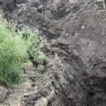 जेजुरी येथील मशरूम उत्पादक कंपनीतील गाळाच्या टाकीत गुदमरून तीन कामगारांचा मृत्यू