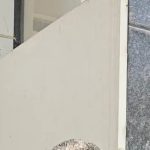 अजित पवारांच्या जीवघेण्या अपघातानंतर रोहित पवार यांनी विमान कंपनीला 145 कोटी रुपये दिल्याचा आरोप