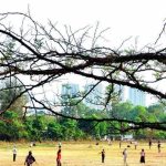 या लांब वीकेंडला उष्णतेवर मात करणे आवश्यक आहे परंतु मजा करणे, इच्छा संतुलित करणे आणि सावधगिरी बाळगणे आवश्यक आहे