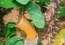 वाहतूक चालकांमध्ये हाणामारीनंतर पाटसमध्ये तणाव; एकाने गोळीबार केला | पुणे बातम्या