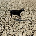 खरीप हंगामात एल निनोचा धोका वाढल्याने 181 महा ब्लॉक्स कृषी तणावासाठी अत्यंत असुरक्षित आहेत