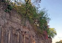 महत्त्वाच्या येरवडा जंक्शनवर उड्डाणपूल, ग्रेड सेपरेटरच्या प्रस्तावात प्रथम झाडे
