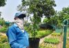 या उन्हाळ्यात पाण्याचा पुरवठा कमी होत असताना गार्डन नर्सरींना उन्हाचा सामना करावा लागत आहे