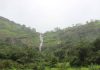 ईवे धबधब्याजवळ थांबून चालवा | पुणे बातम्या