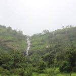 ईवे धबधब्याजवळ थांबून चालवा | पुणे बातम्या