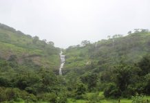 ईवे धबधब्याजवळ थांबून चालवा | पुणे बातम्या